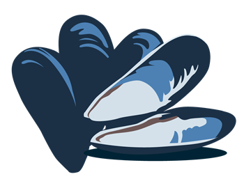 Illustration of Mussels