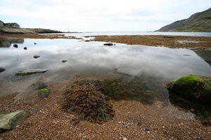 A beach with shoreline in the day