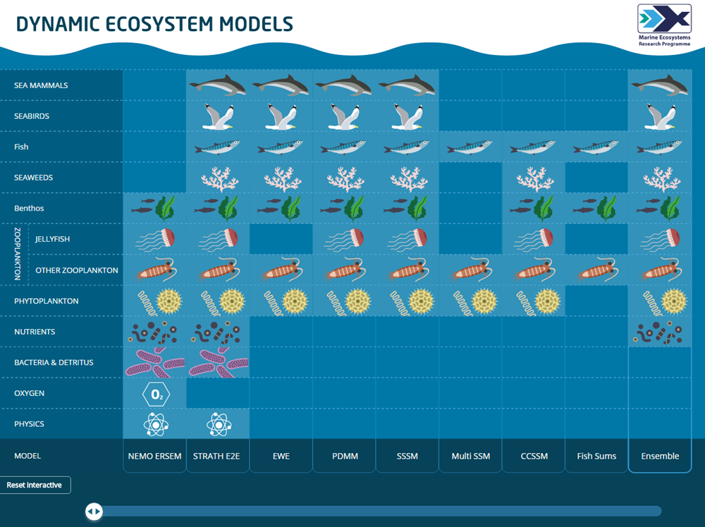 Model interactive