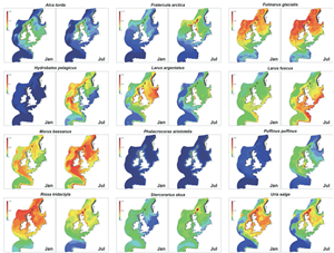 Seabird density maps