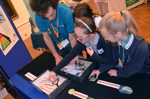 Learning with MERP at British Science Week