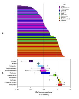 The degree of gelatinousness (i.e. carbon mass as a percentage of wet mass) of zooplankton taxa vary enormously and almost continuously, in a spectrum ranging from 0.01%25 to 19%25. Top panel shows the individual taxa, bottom panel shows medians, quartiles and range for the broader groups